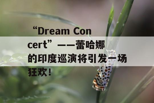 “Dream Concert”——蕾哈娜的印度巡演将引发一场狂欢！